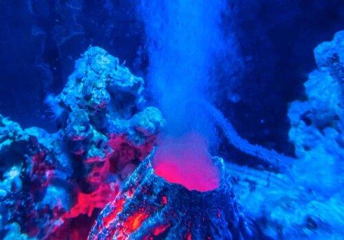 A la découverte de Mayotte et de son volcan