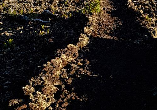 Une photo d'un chemin taillé dans une coulée de lave.