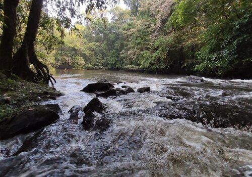 Photo avec un fleuve, des rochers et une forêt