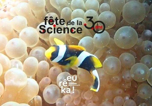 Comme une éponge... La beauté anime la science