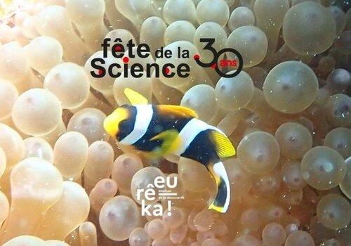 La beauté anime la science