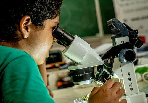 Atelier scientifique dans une classe Un enfant regarde dans une loupe binoculaire