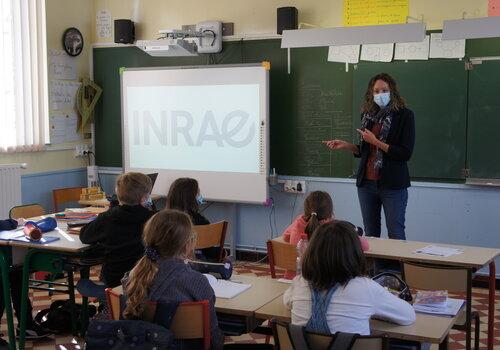 Intervention d'un chercheur INRAE en classe