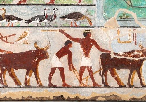 Fragment de peinture murale d'une chambre funéraire égyptienne