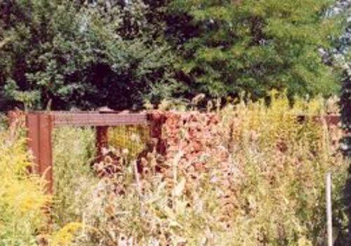 Esposition Vous avez dit mauvaises herbes Esposition Vous avez dit mauvaises herbes