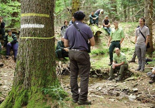 Journée de recherche d'arbres à intérêt écologique 