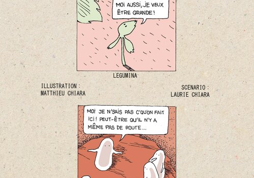 Les plantes et les bactéries se parlent et travaillent ensemble ! Les plantes et les bactéries se parlent et travaillent ensemble !