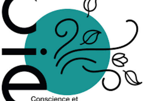 Association Conscience et Impact écologique Association Conscience et Impact écologique