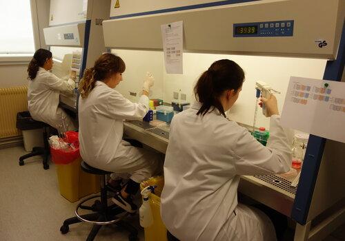 Personnel manipulant sous PSM (Poste de Sécurité Microbiologique) dans un laboratoire de type 2