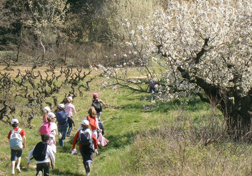 Enfants courant dans les champs