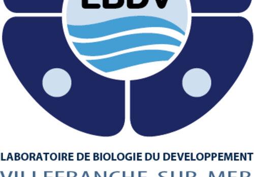IMEV -  Laboratoire de biologie marine CNRS / Sorbonne Université