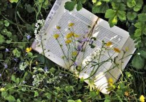 Visite et lectures au jardin Visite et lectures au jardin