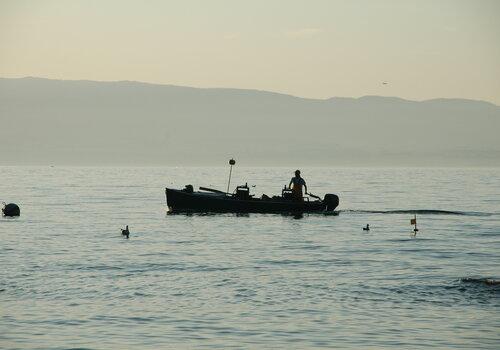 Pêcheur sur le Léman