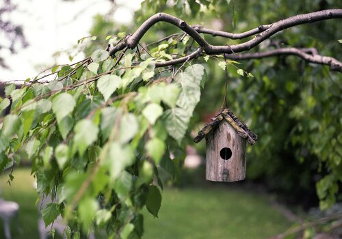Nichoir pour oiseaux