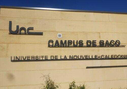 Campus de Baco Campus de Baco
