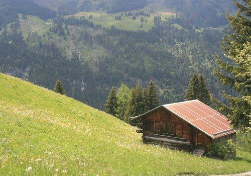 Chalet de montagne construit dans la pente Chalet de montagne construit dans la pente