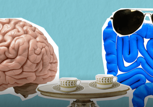 Symbiose mentale ? Microbiote intestinal & cerveau.