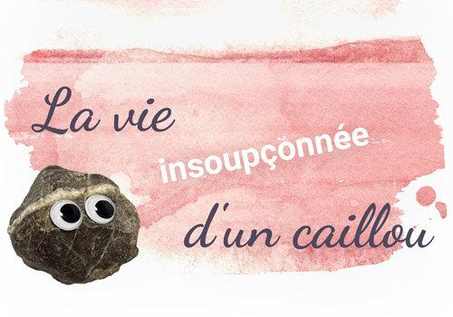 Couverture du conte La vie insoupçonnée d'un caillou