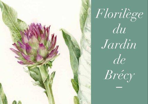 Couverture du livre "Florilège du Jardin de Brécy"