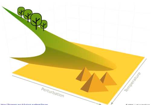 Dynamiques et bascules environnementales Dynamiques et bascules environnementales