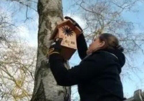 Les nichoirs de l'université de Rouen Normandie Pose d'un nichoir dans un arbre