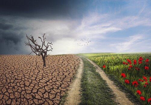 avant après réchauffement climatique
