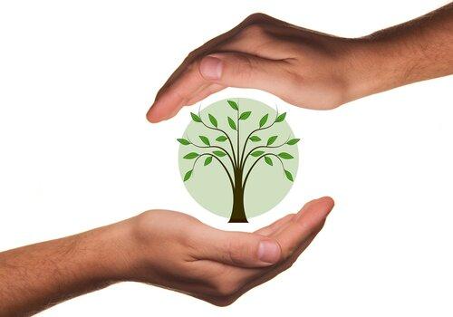 Préservons l'environnement ! Préservons l'environnement !
