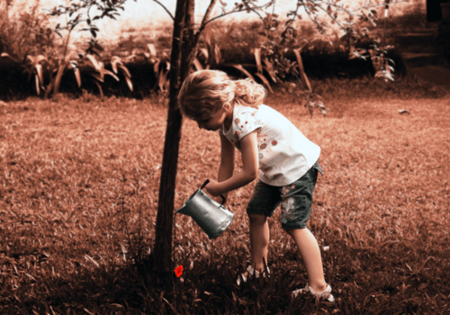 Enfant arrosant un coquelicot sous un arbre