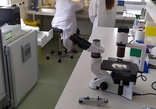 Laboratoire CEPR /Inserm/univ Tours laboratoire CEPR- INSERM - Univ Tours