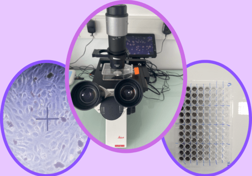 Microscopie pour l'étude des particules