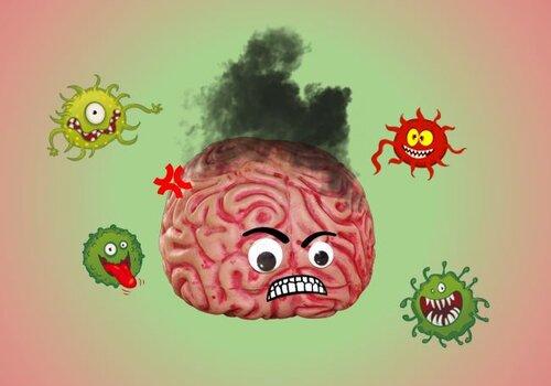 Cerveau attaqué par des virus