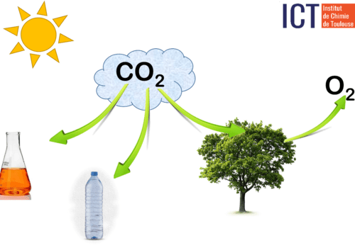Les valorisations possibles du dioxyde de carbone
