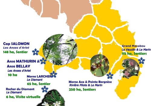 Voyage écologique dans le Sud de la Martinique