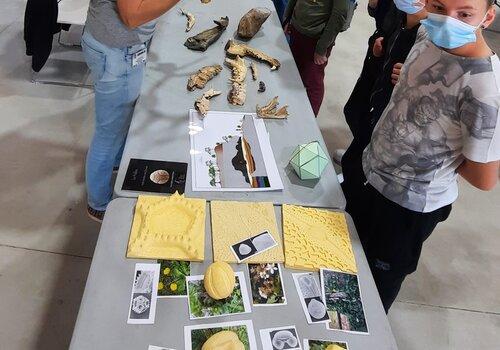 Présentation de la palynologie et de la paléoentologie - village des Sciences de l'UPVD 2021 Des enfants découvrent les ossements des pollens et des ossements d'animaux , en écoutant les explications d'un chercheur en Préhsitoire.
