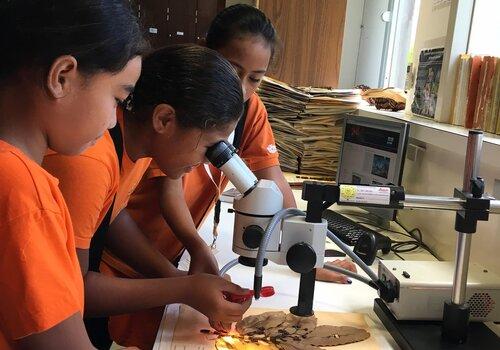 Visite de scolaires à l'Herbier de Nouvelle-Calédonie