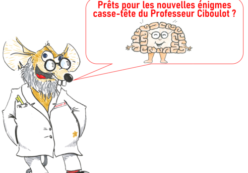 Le professeur Ciboulot professeur Ciboulot