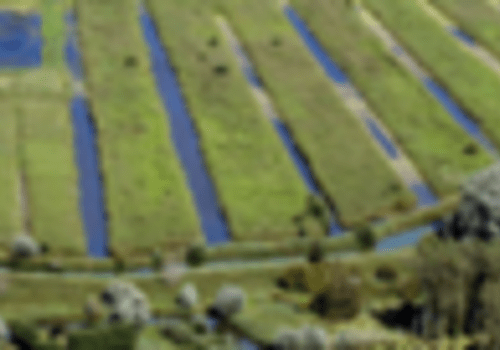 Quelles actions concrètes mettre en place ?