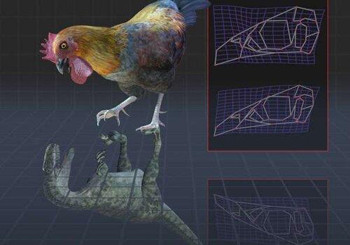 Les dinosaures vivent bel et bien parmi nous Un coq et un dinosaure carnivore : deux animaux presque similaires mais ayant vivant à des époques différentes