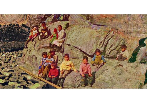 réfugiés climatiques Habitants du Groeland et Guillemots face au climat