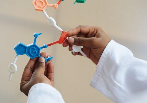 Tout savoir sur l’ADN