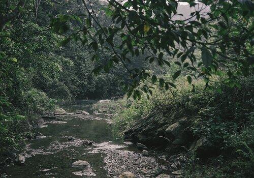 Photo d'un cours d'eau