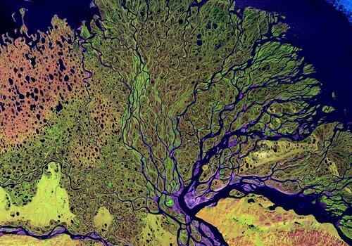 Image satellite du delta de la rivière Lena