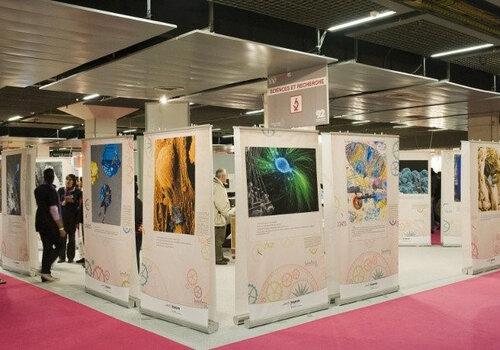 installation de l'exposition