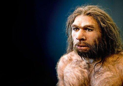 homme-neandertal