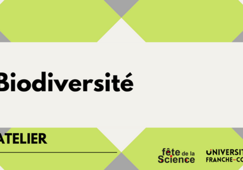 Biodiversité Biodiversité