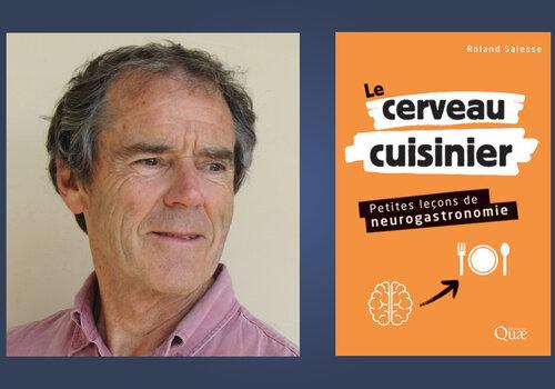 Le cerveau cuisinier