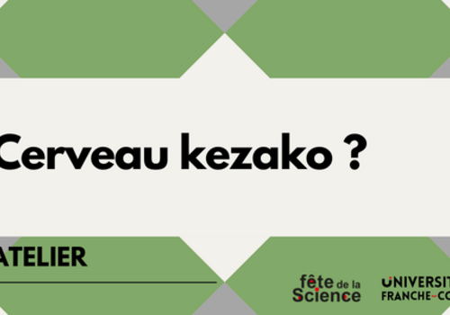 Cerveau kezako ? Cerveau kezako ?