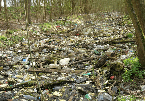 Pollution plastique ©Bruno Tassin Déchets plastiques