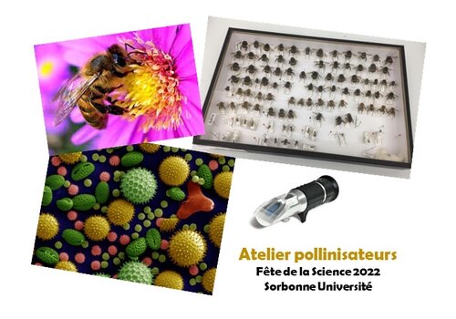 Atelier Pollinisation