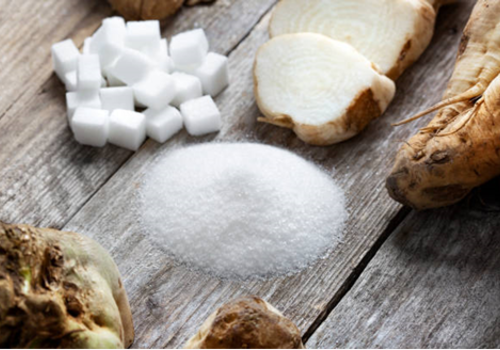 le cycle du sucre le sucre sous toutes ses formes